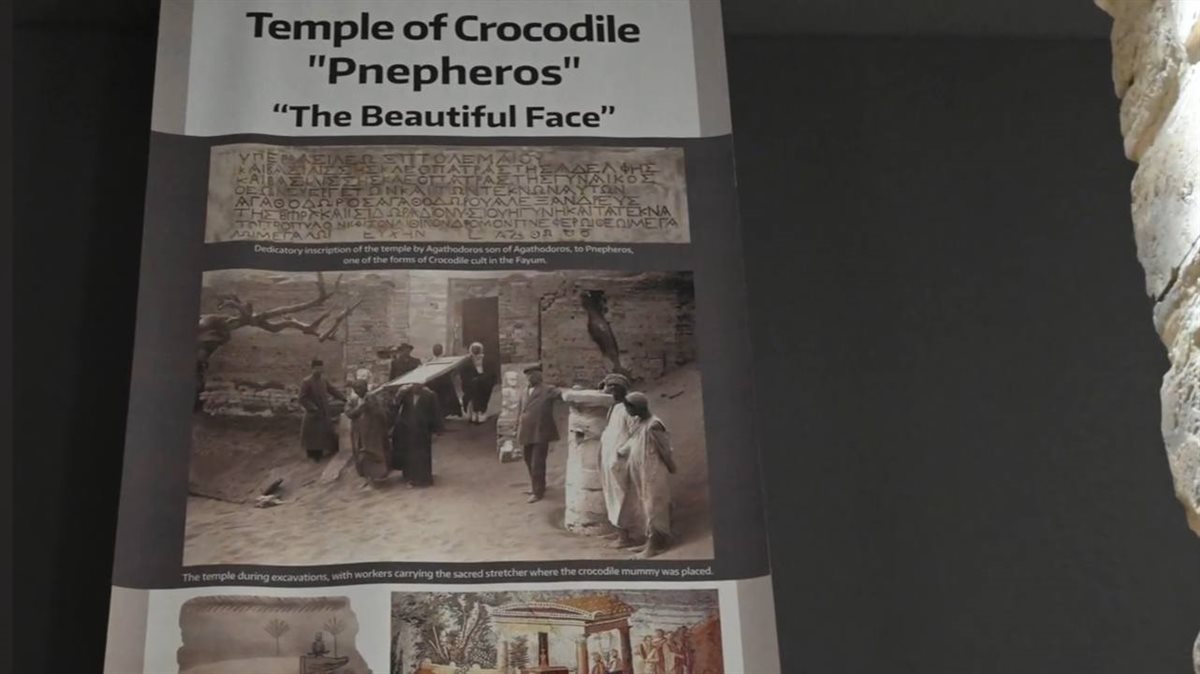  معبد كوم أمبو بأسوان