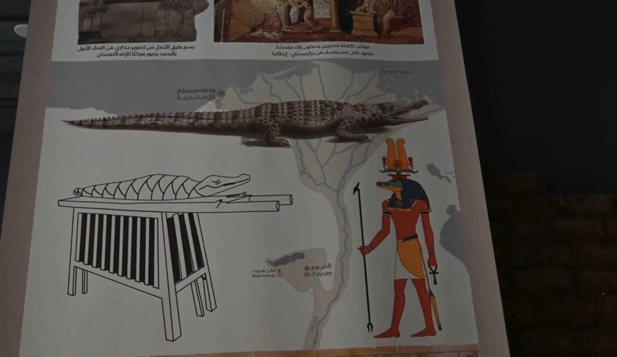  معبد كوم أمبو بأسوان