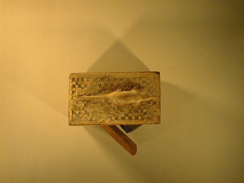  تابوت به مومياء نمس من العصر المتأخر