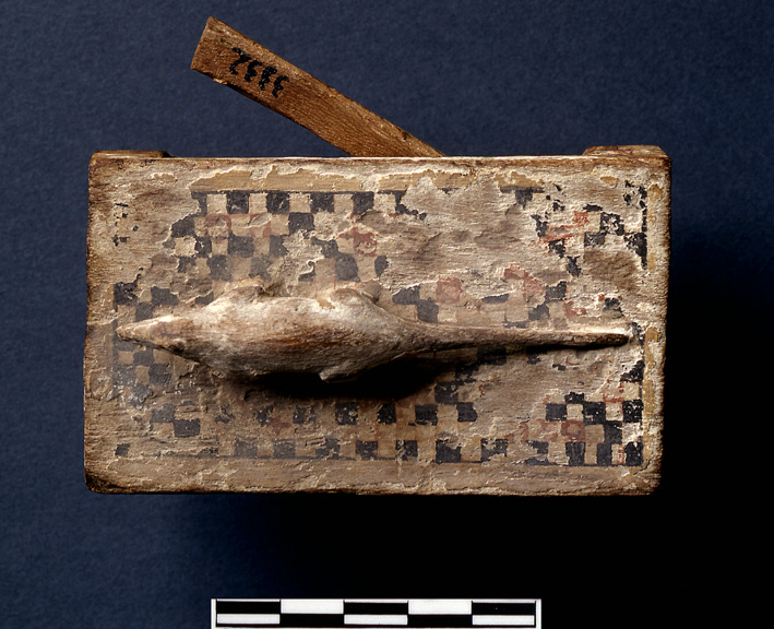  تابوت به مومياء نمس من العصر المتأخر