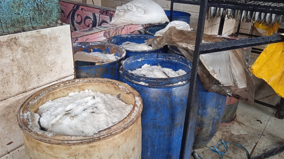 ضبط 15 طن أسماك ورنجة غير صالحة للاستهلاك بالمنوفية قبل شم النسيم