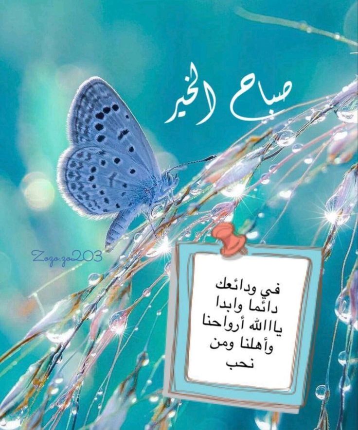 صور جمعة مباركة وصباح الخير