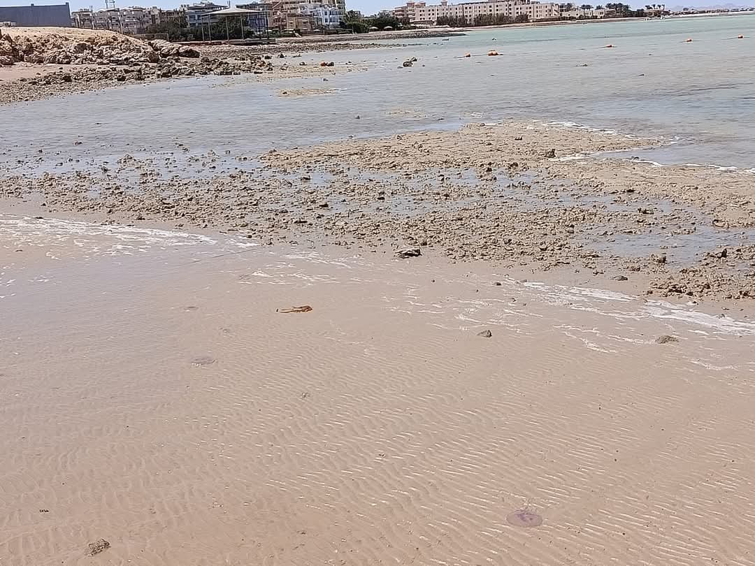 تراجع وانحسار لمياه البحر بالغردقة 