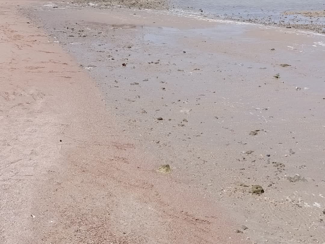 تراجع وانحسار لمياه البحر بالغردقة 