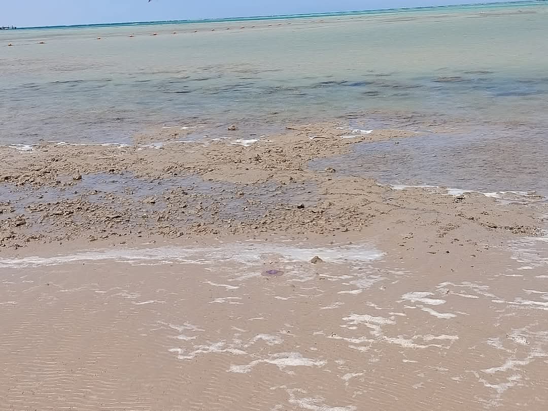 تراجع وانحسار لمياه البحر بالغردقة 