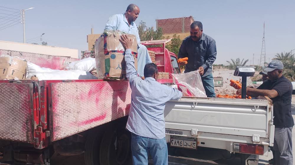 منافذ بيع السلع في الوادى الجديد