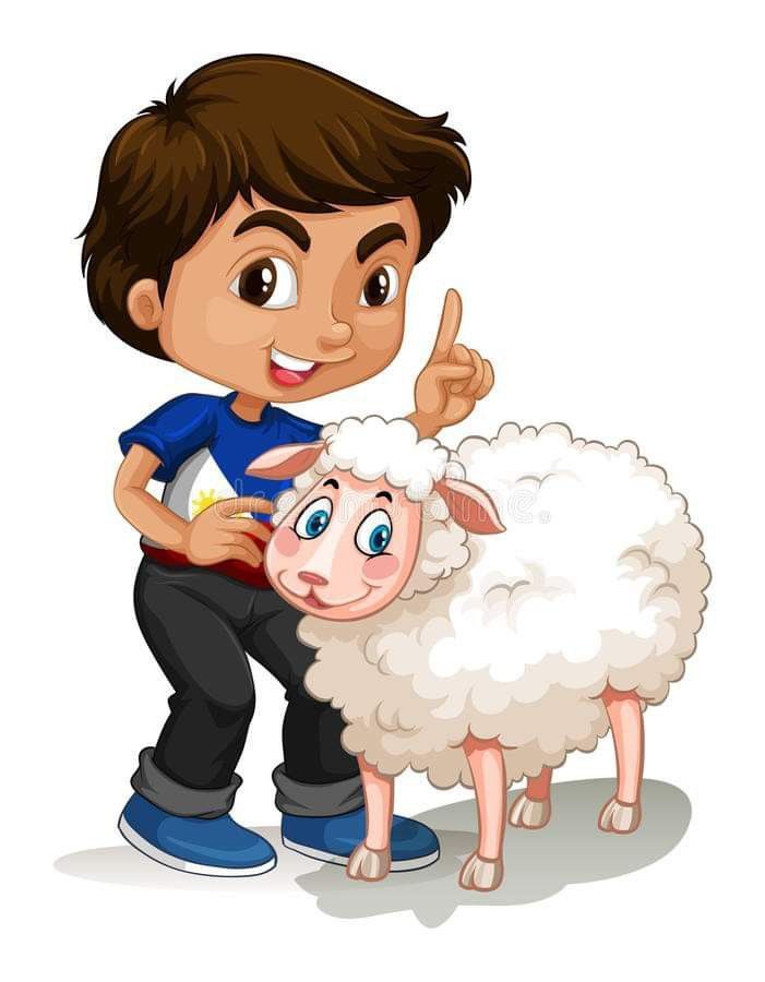صور عيد الأضحى
