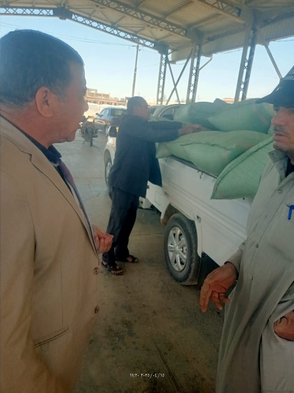 توريد محصول القمح في الوادى الجديد