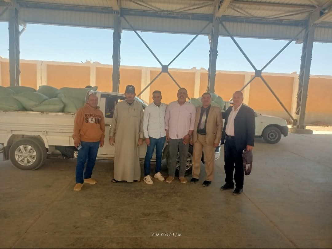 توريد محصول القمح في الوادى الجديد