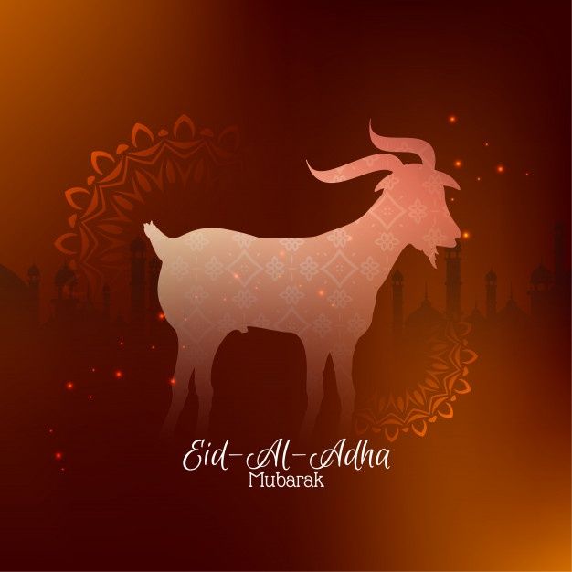 تهنئة عيد الأضحى المبارك37