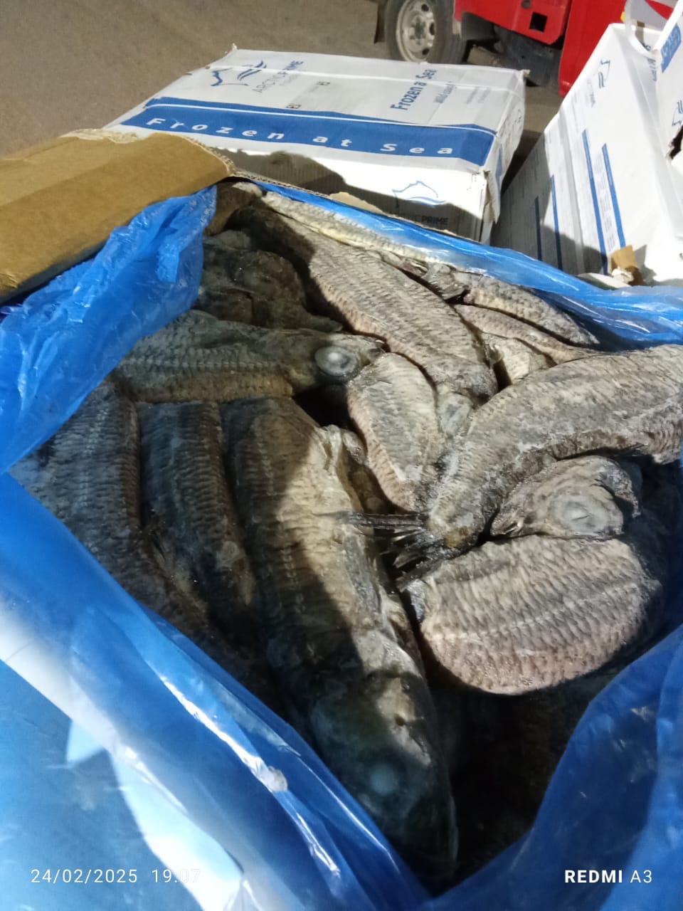 قبل بيعها في شم النسيم.. ضبط سيارة محمله ب 600ك فسيخ ورنجة غير صالحة للاستهلاك بالفيوم