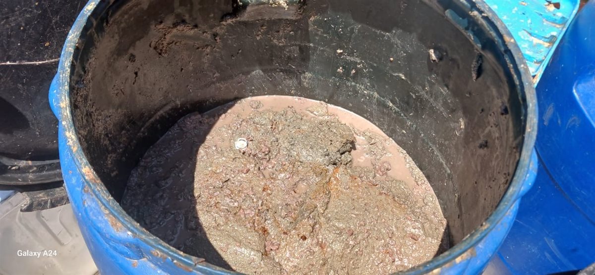 ضبط اسماك فاسدة بالأقصر