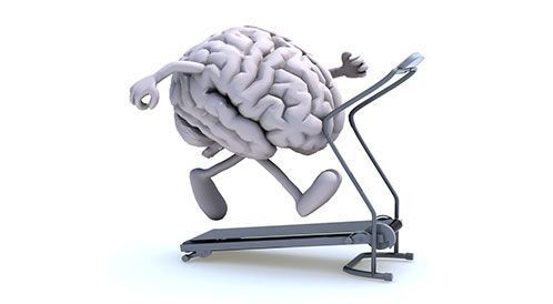 جدول مذاكرة الشعبة الأدبية