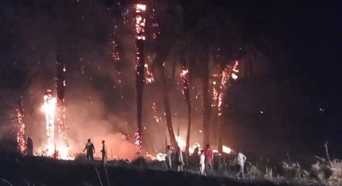 حريق هائل بكرم نخيل بإسنا جنوب الأقصر