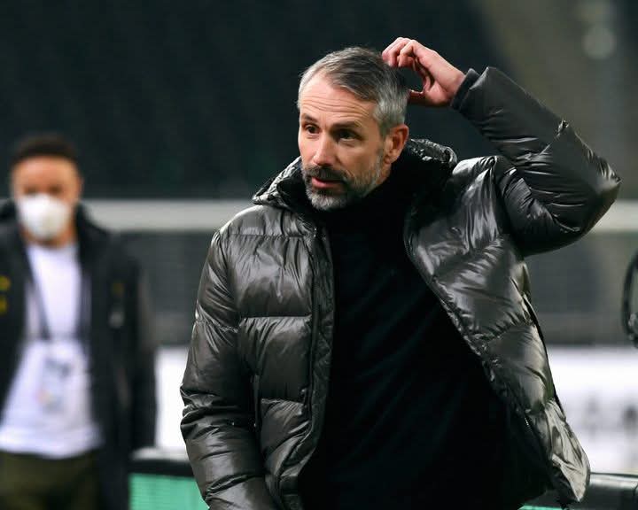 الألماني ماركو روزه