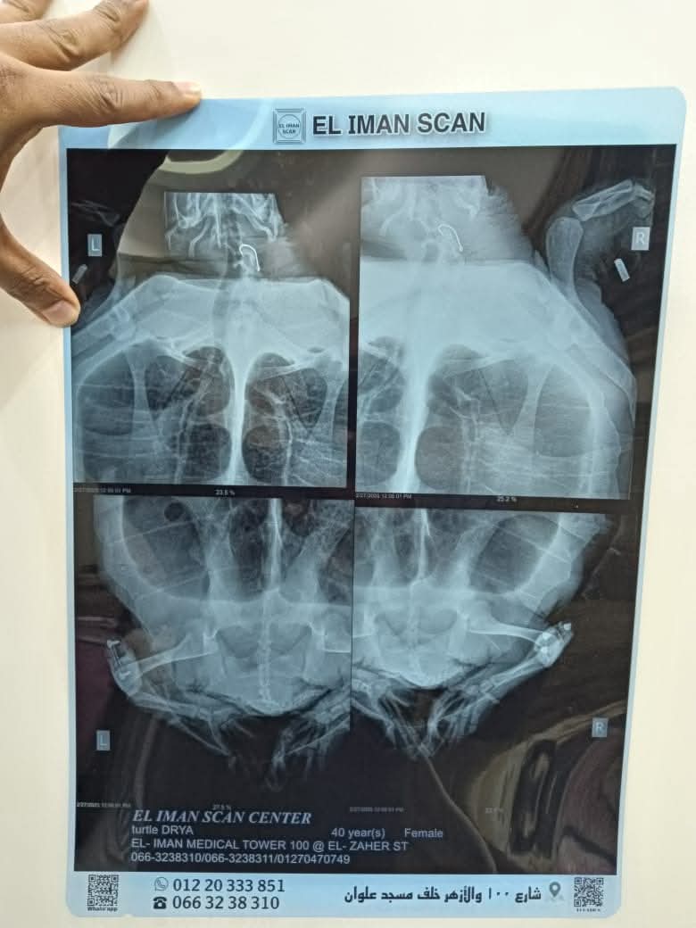 محمية أشتوم الجميل ببورسعيد 