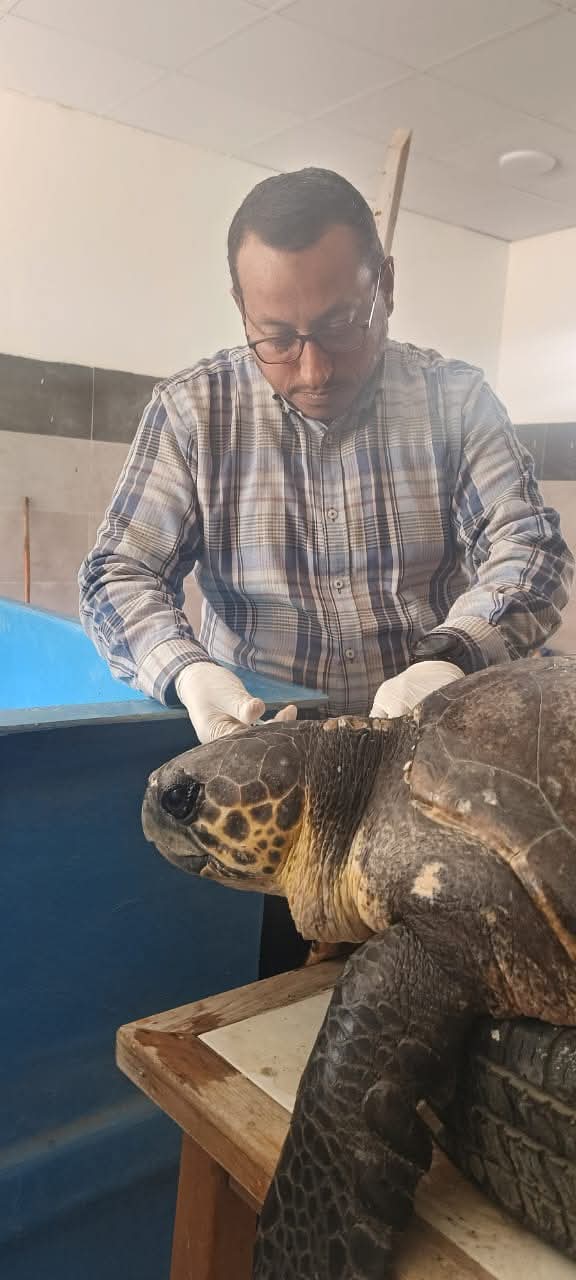 محمية أشتوم الجميل ببورسعيد 