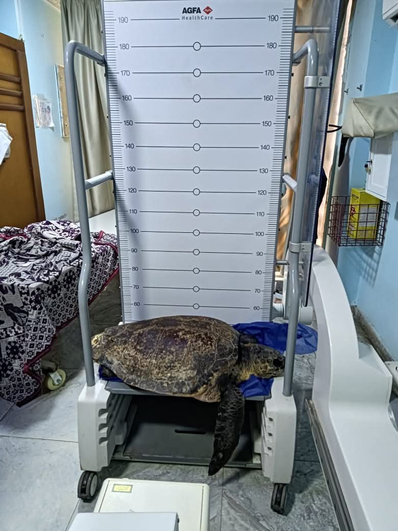 محمية أشتوم الجميل ببورسعيد 