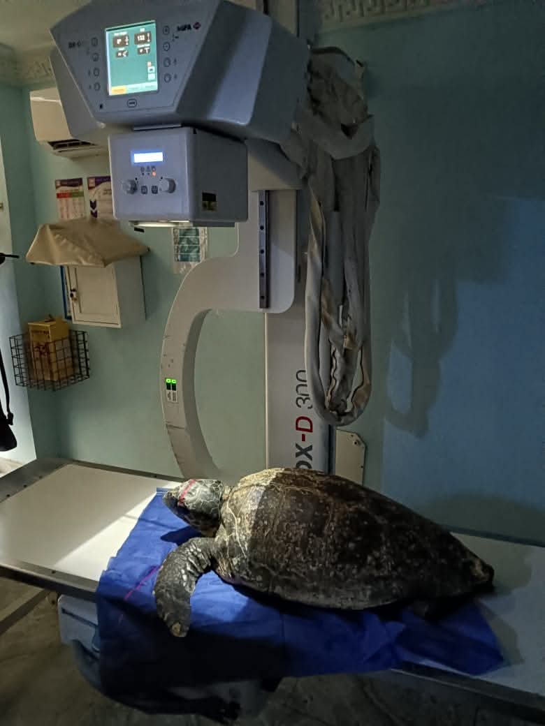 محمية أشتوم الجميل ببورسعيد 