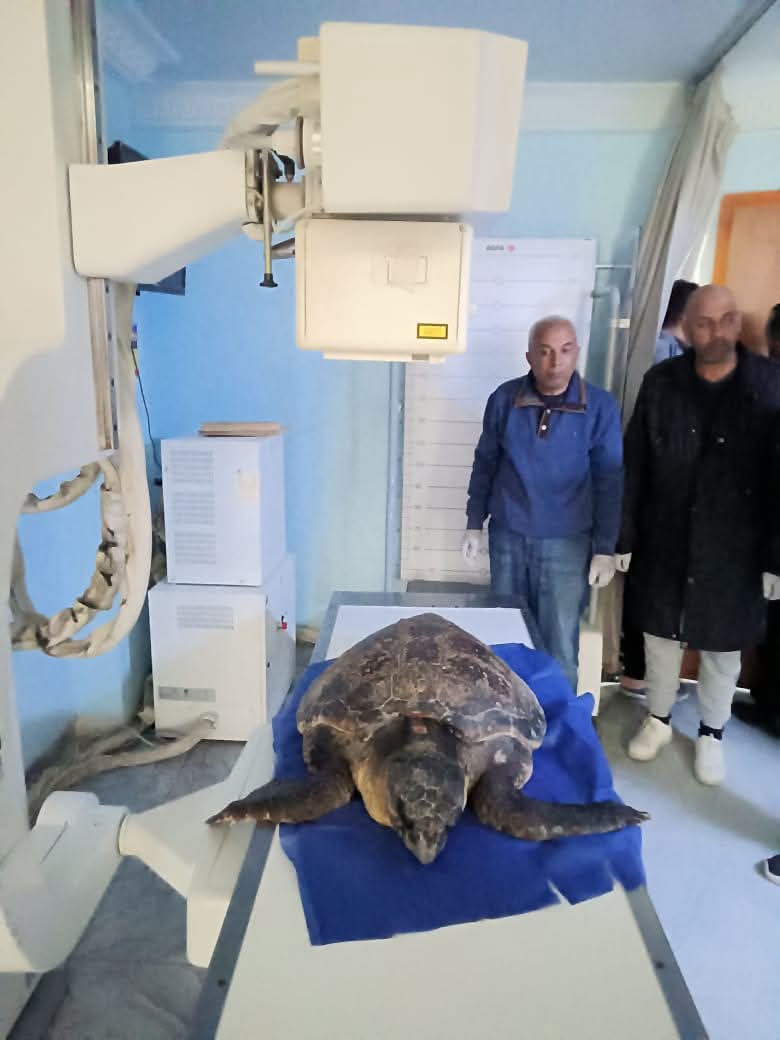 محمية أشتوم الجميل ببورسعيد 