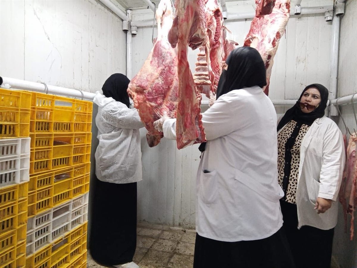 جهود الأجهزة التنفيذية بـ محافظة بورسعيد 