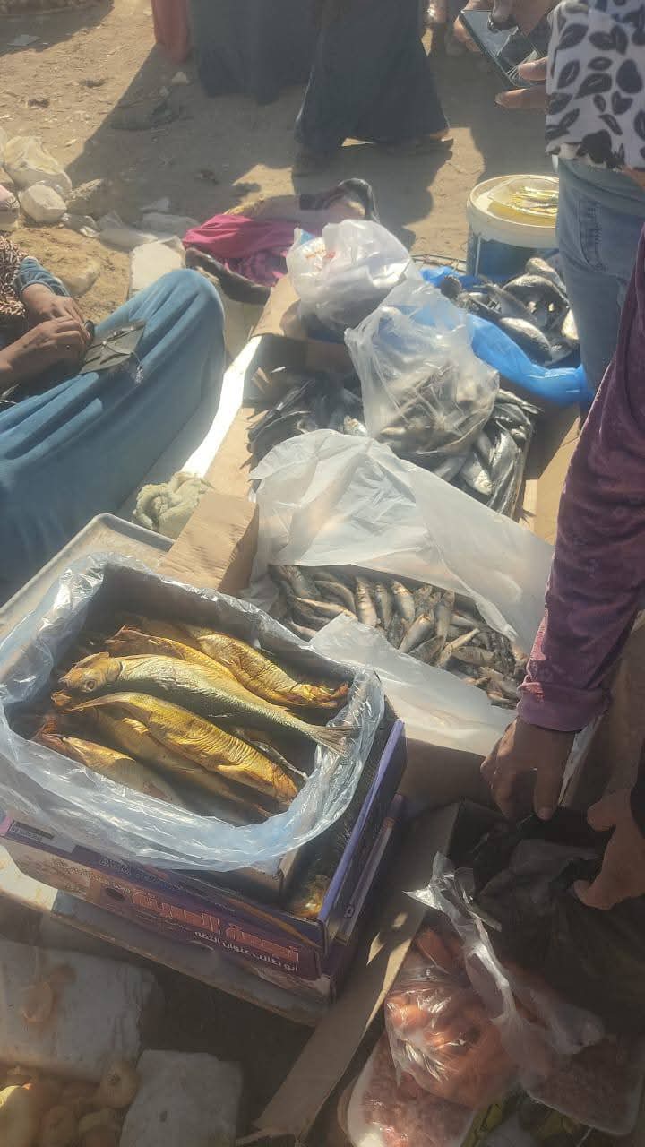 جانب من حملات الصحة