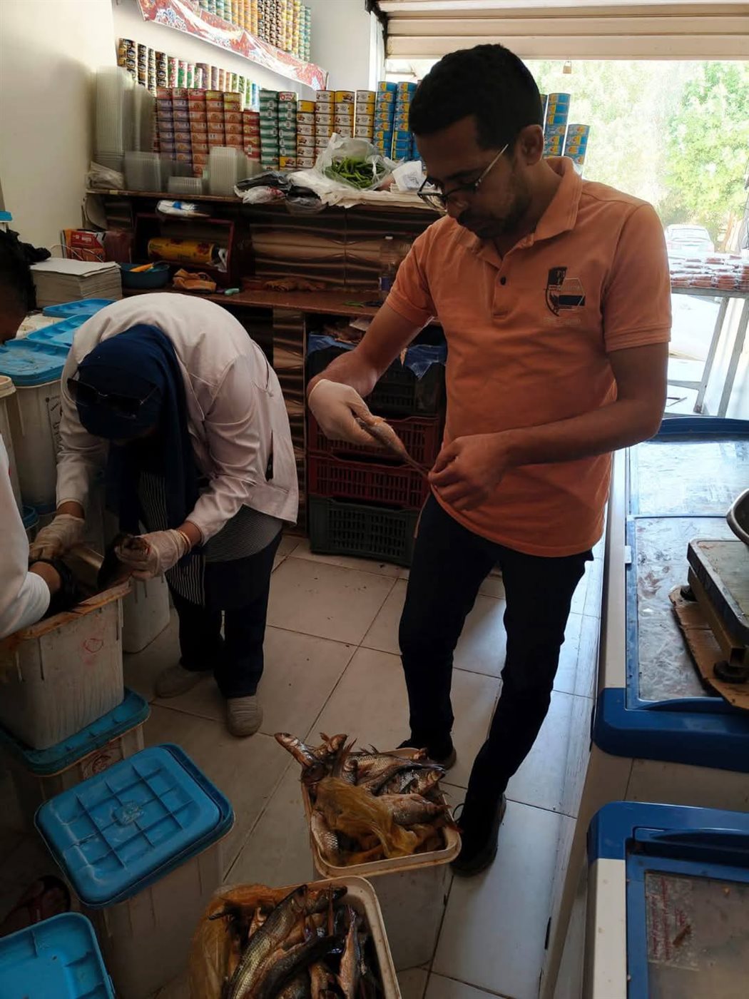 ضبط اسماك غير صالحة للاستهلاك