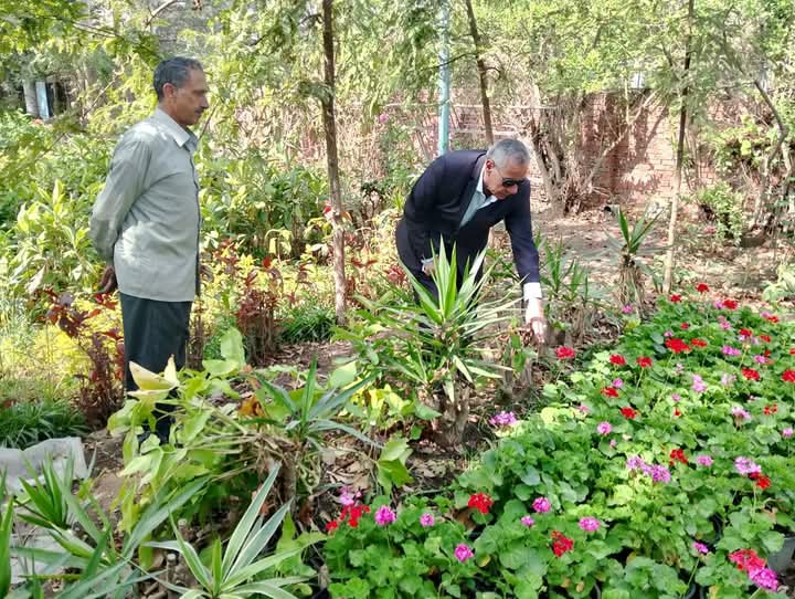 رئيس حي غرب المنصورة يتفقد الحدائق 