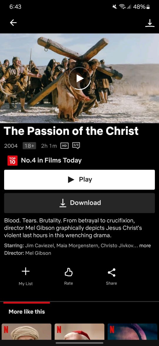  The Passion  of The Christ on Netflix