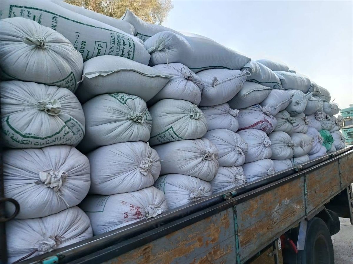 موسم توريد القمح بالأقصر