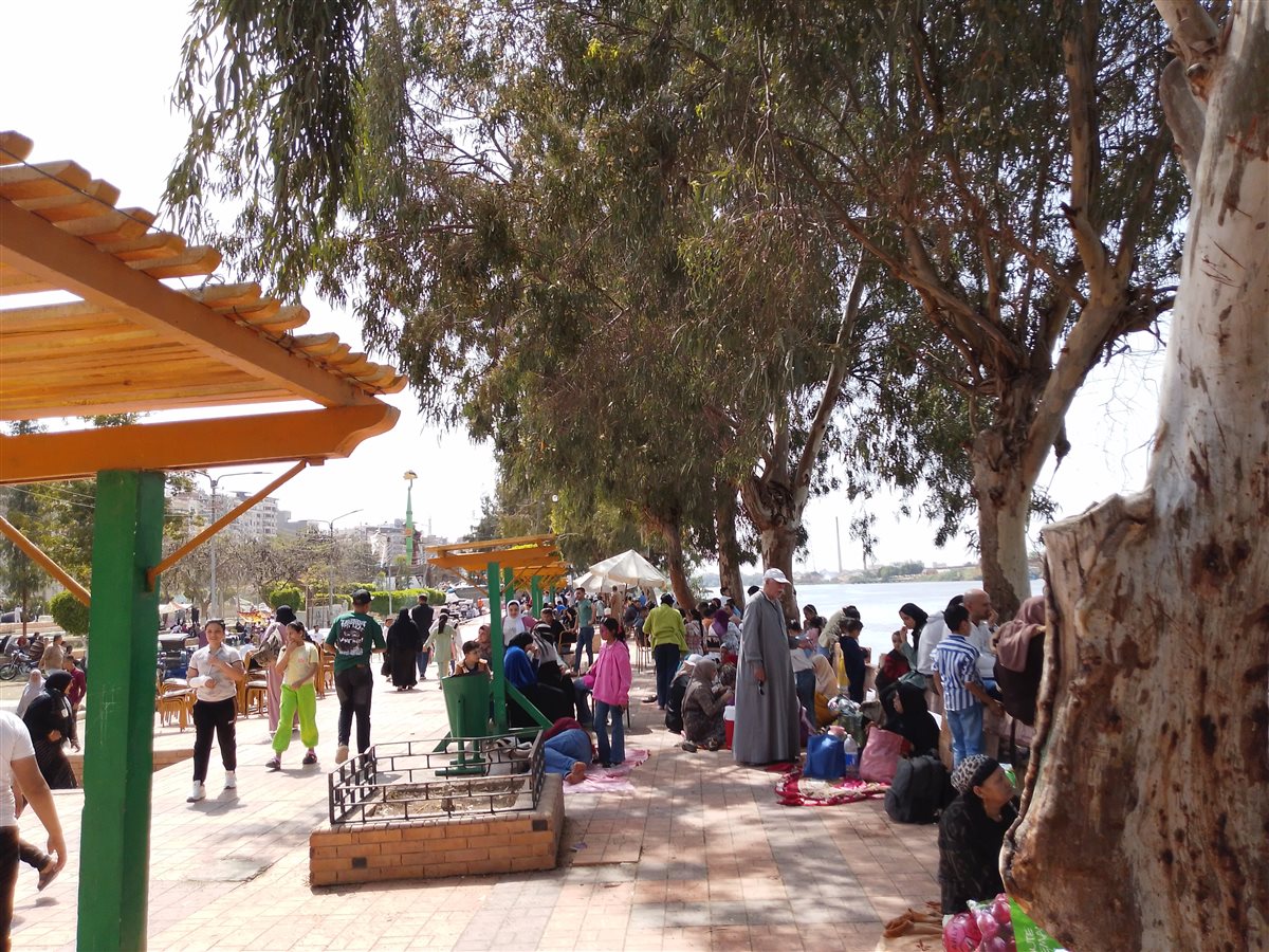 جانب من الاحتفالات 