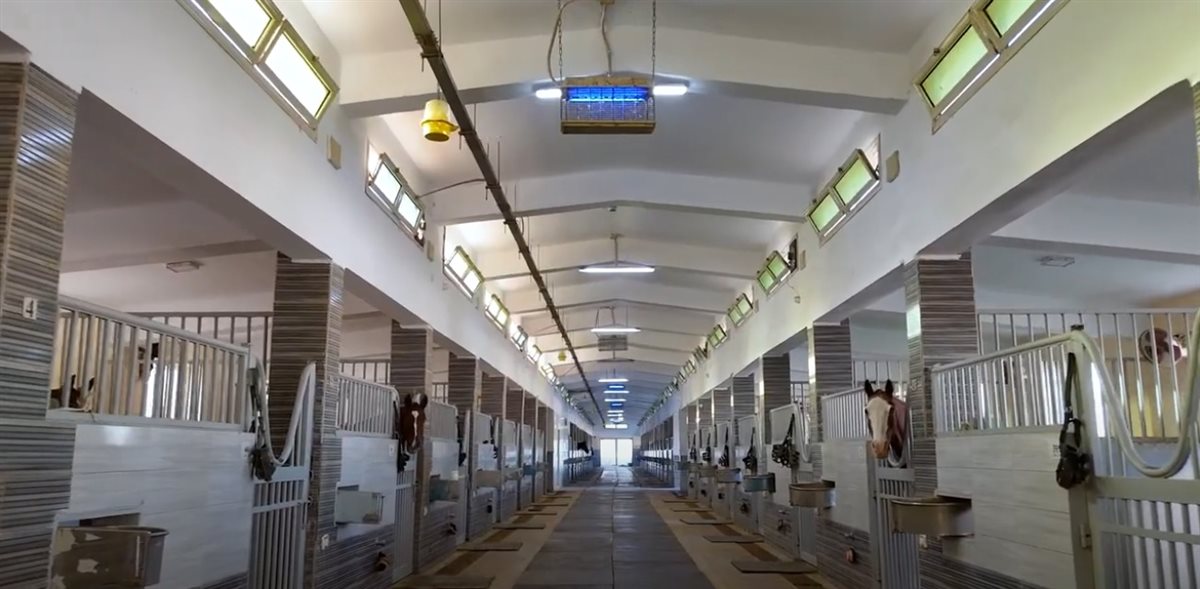 وادي الفروسية التابع لوزارة الداخلية يستضيف بطولتين في قفز الموانع بالتنسيق مع الاتحاد المصري للفروسية