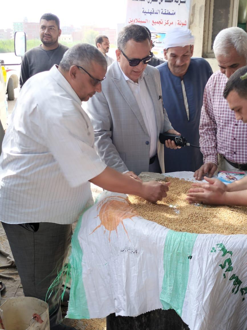 توريد القمح بالدقهلية 