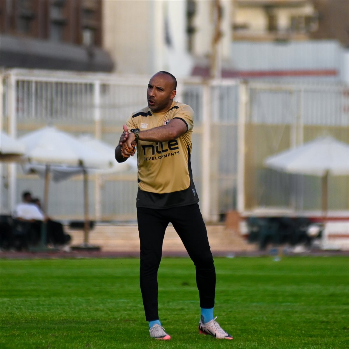 أيمن عبد العزيز 