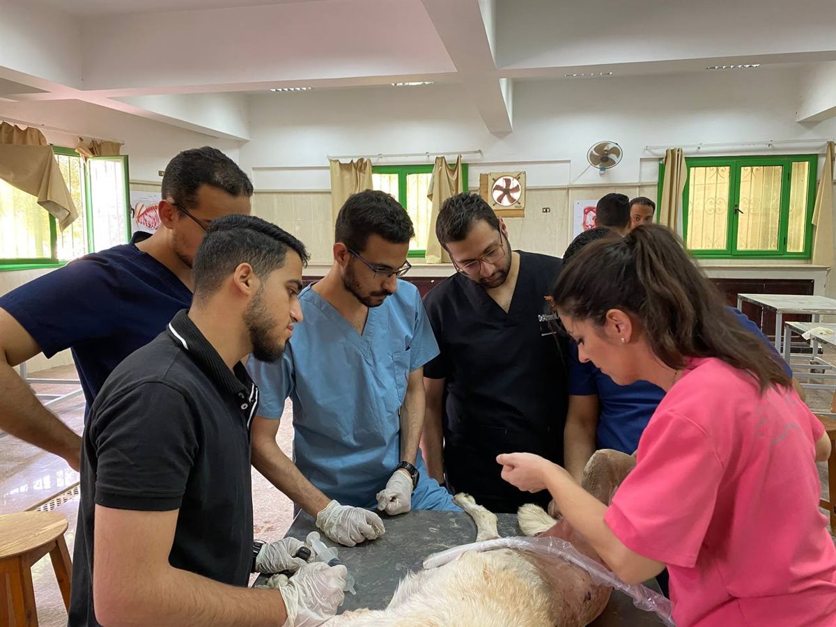  تعاون علمي بين جامعتي سوهاج وقرطبة بإسبانيا 