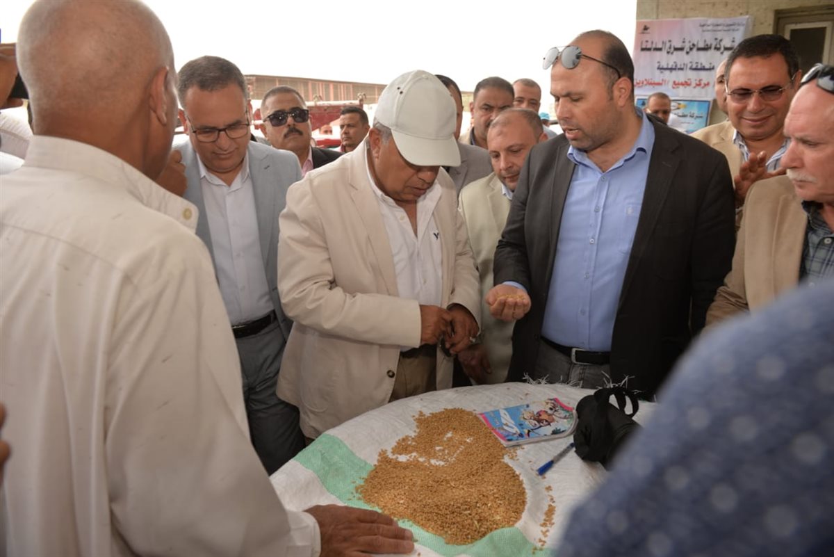 محافظ الدقهلية 