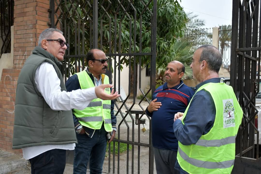 زراعة أشجار البونسيانا ببورسعيد 