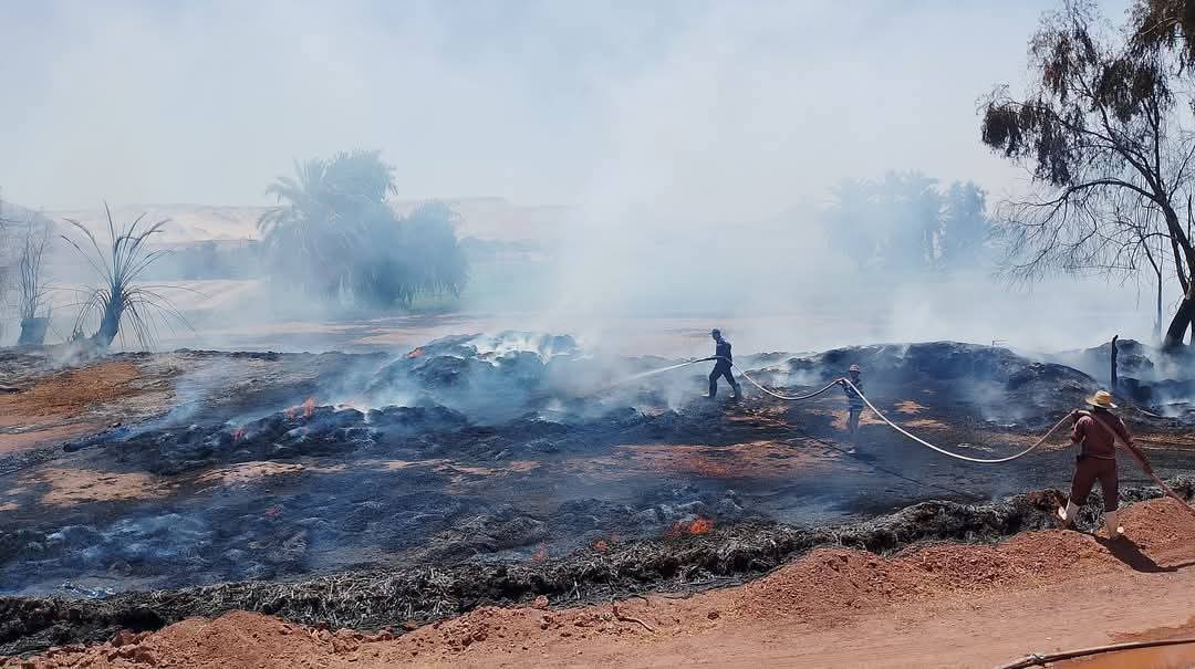 حريق باحدي شون الفمح بالوادى الجديد