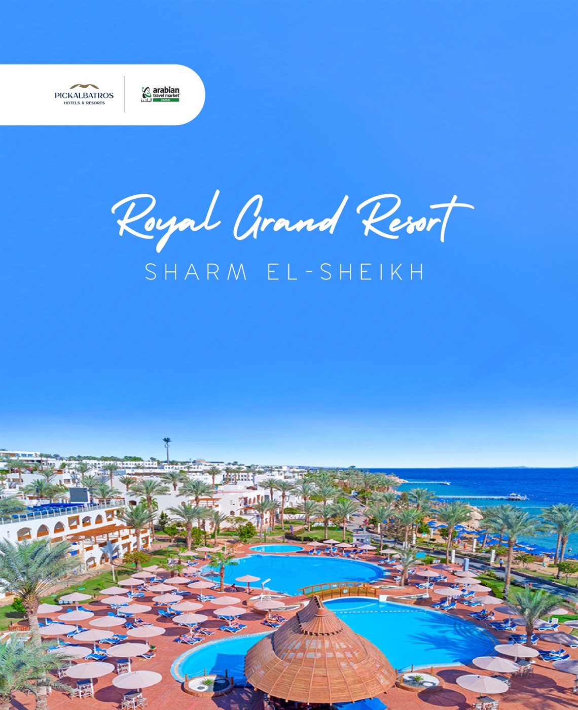 مشروعات مجموعة بيك الباتروس للفنادق والمنتجعات السياحية