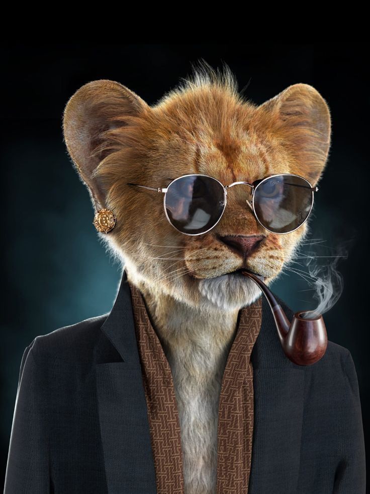 خلفيات نادرة فخمة