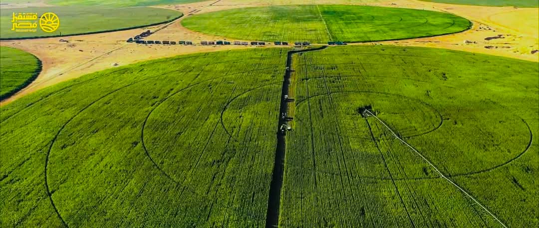 مشروعات جهاز مستقبل مصر