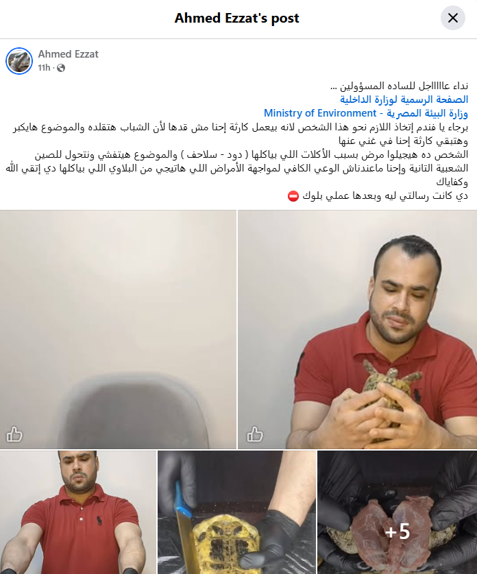 منشور متداول