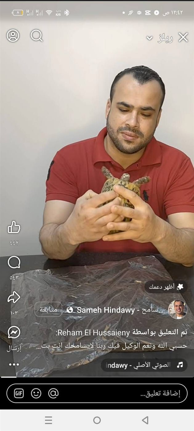 سامح هنداوي