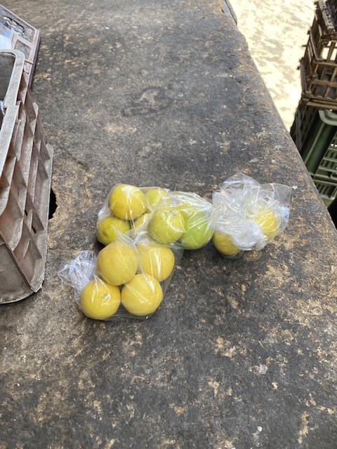 احمد واكياس ليمون صغيرة لمواجهة غلاء سعرة