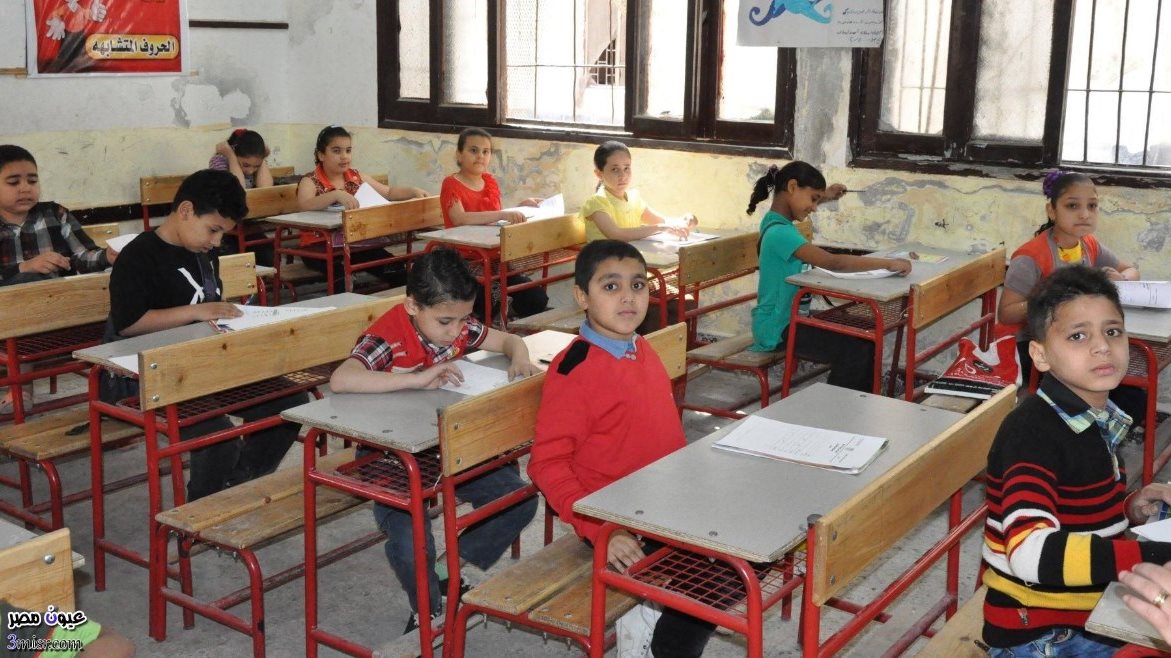 نتيجة الصف الثالث الابتدائي برقم الجلوس والاسم 2026