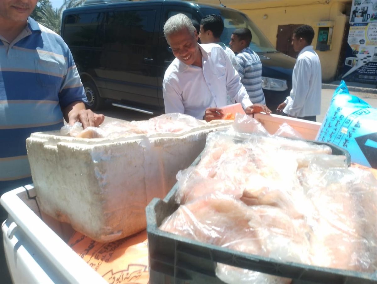 حملات مكثفة لتموين الأقصر