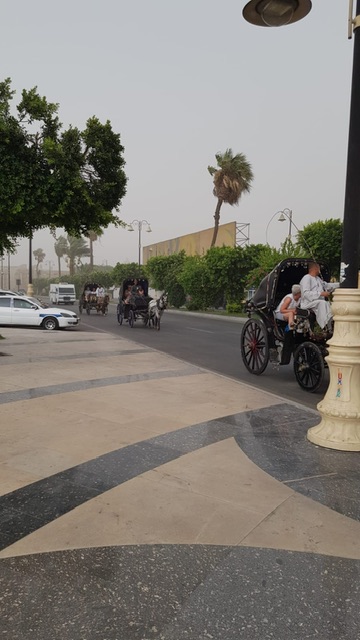 السائحين مستمتعين بركوب الحنطور في العاصفة