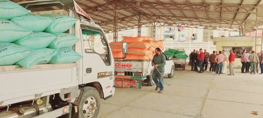 الشون والصوامع ببورسعيد 