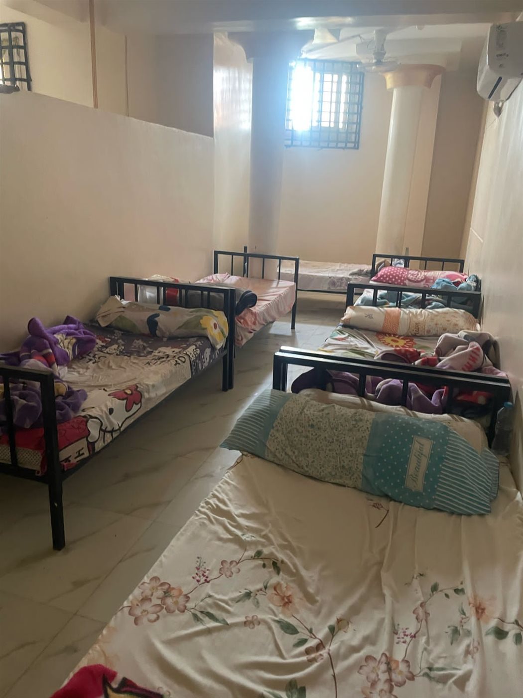 جانب من المضبوطات 