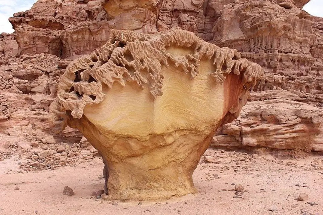 واحة عين خضراء بجنوب سيناء